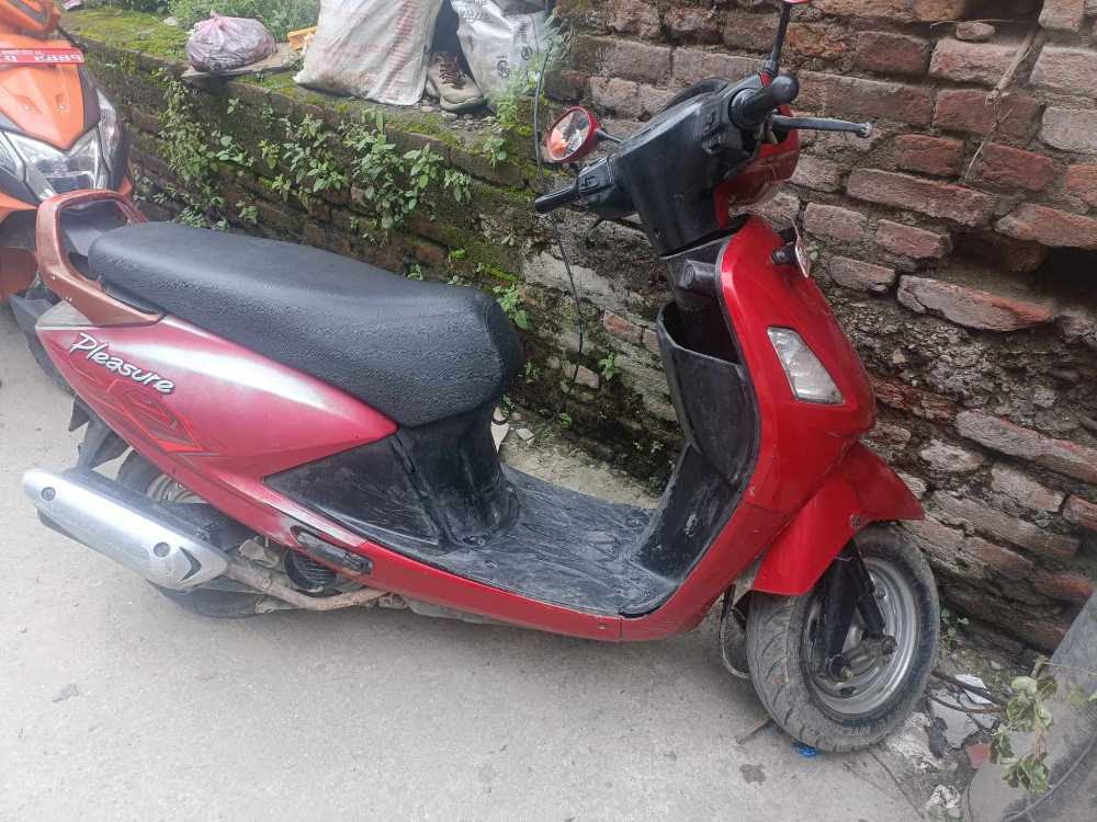 2009 Hero Pleasure