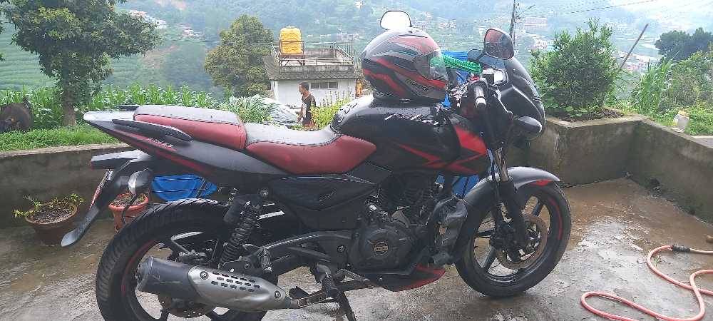 2019 Bajaj Plusar 150