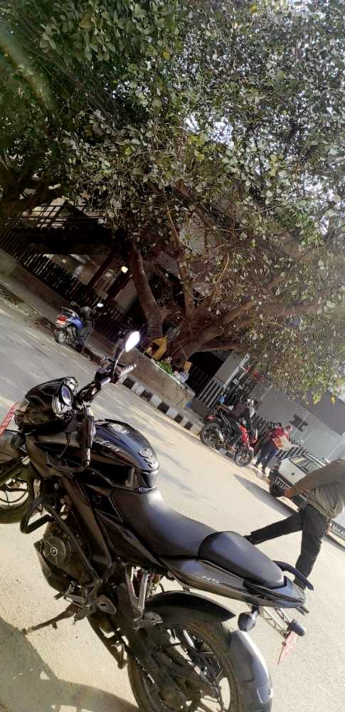 2017 Bajaj NS 200 in Kathmandu for sale