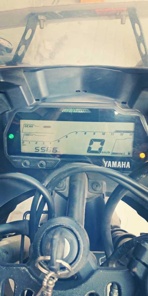 2019 Yamaha R15
