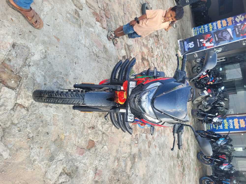 2025 Bajaj Pulsar 125 in Saptari for sale