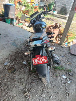 2019 Bajaj Plusar 150 in Dharan for sale