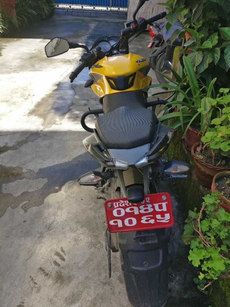 2019 Bajaj NS 200 in Kathmandu for sale