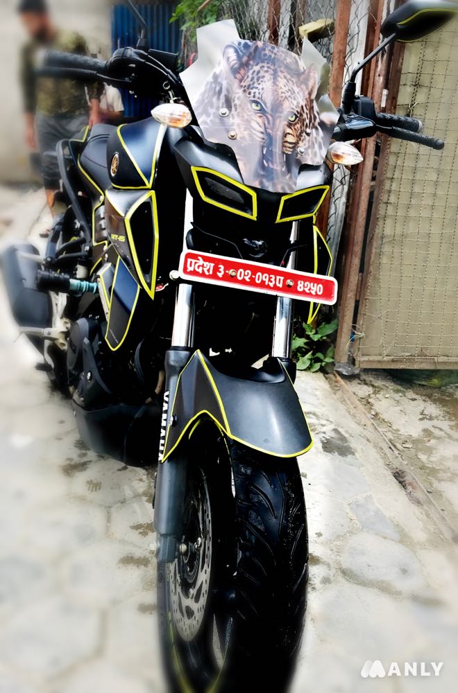 2019 Yamaha MT15